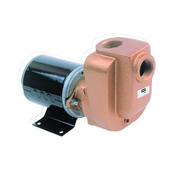 Amt Pump 0.75-in. Cast Bronze Self-Priming w/ 12V DC Motor 4851-97 - main